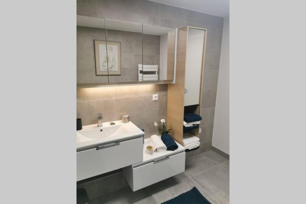 Magnifique F3, 75M² Avec Parking Prive Et Terrasse Apartment Strasbourg Exterior photo
